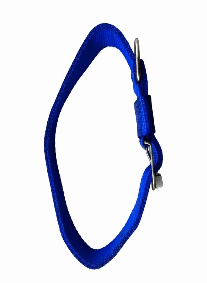 DIY Crafts Pack of 2 Pcs, Blue, Adjustable Dog Harness Body(Pack of 2 Pcs, Blue) - Image 3